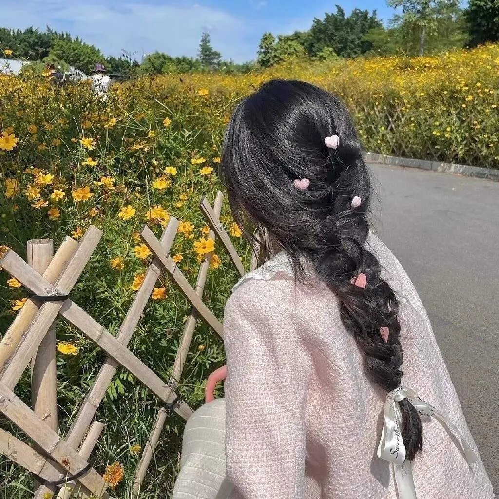台北女子图鉴